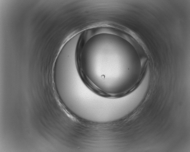 X0000080720858200612221225