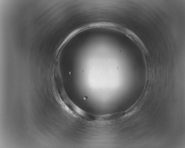 X0000080720860200612221225