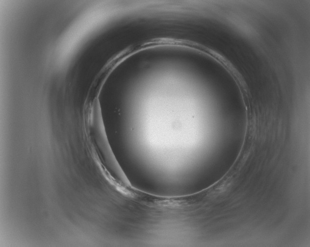 X0000080720862200612221225