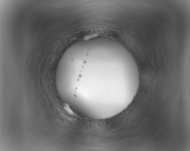 X0000080720865200612221224