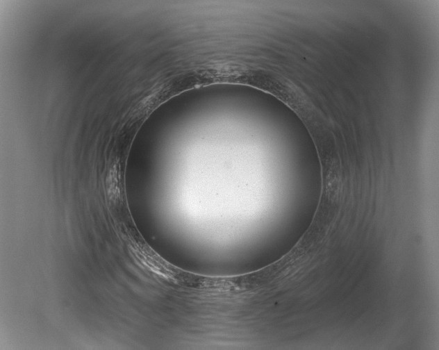 X0000080720866200612221224