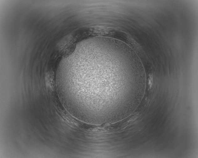 X0000080720867200612221224