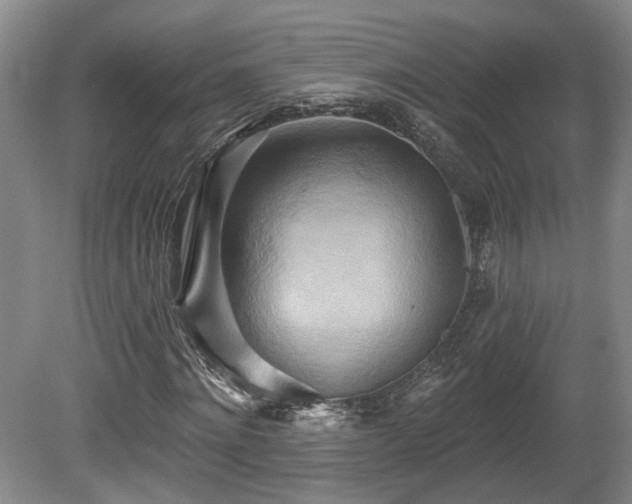 X0000080720868200612221224