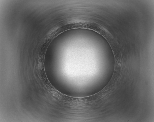 X0000080720869200612221224