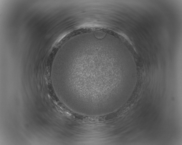 X0000080720871200612221224