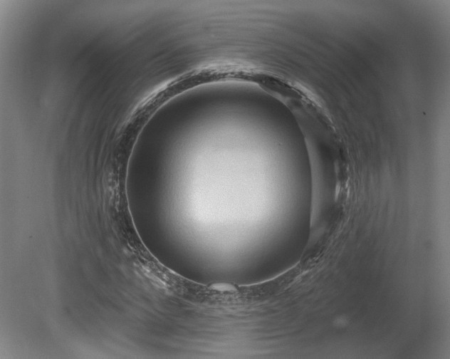 X0000080720872200612221224