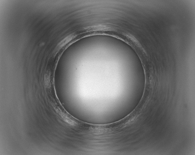 X0000080720873200612221224