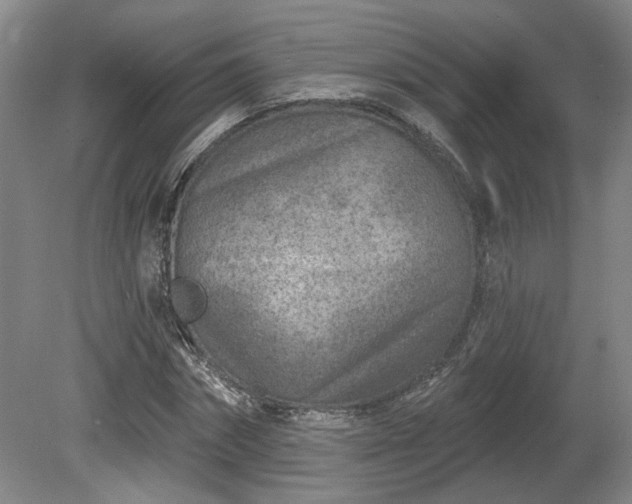 X0000080720874200612221224