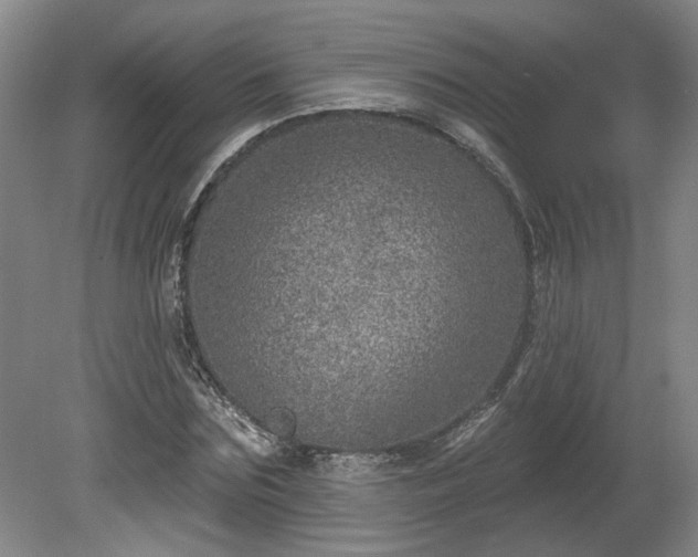 X0000080720875200612221224