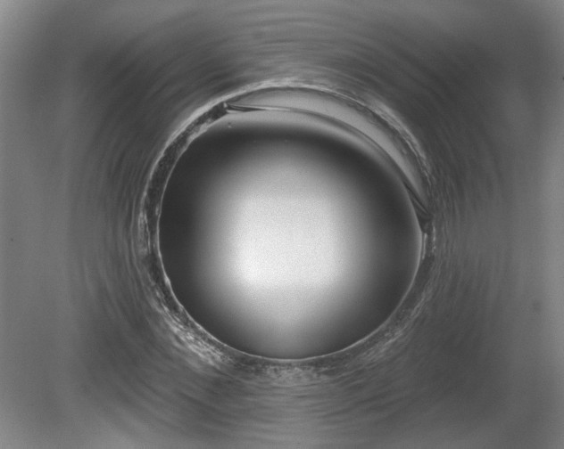 X0000080720876200612221224