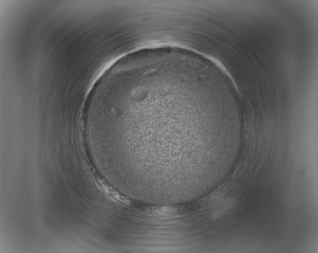 X0000080720879200612221224