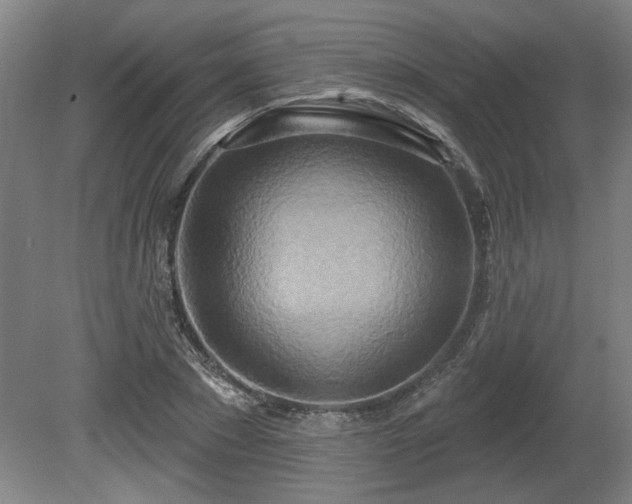 X0000080720881200612221224