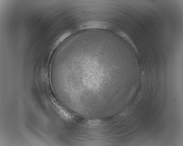 X0000080720882200612221224