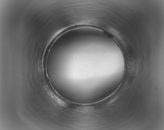 X0000080720884200612221224