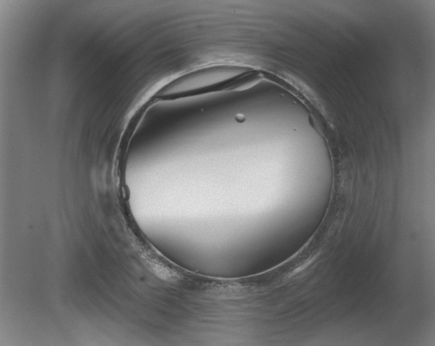 X0000080720885200612221224