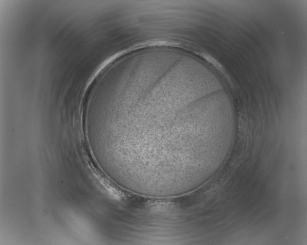 X0000080720886200612221224