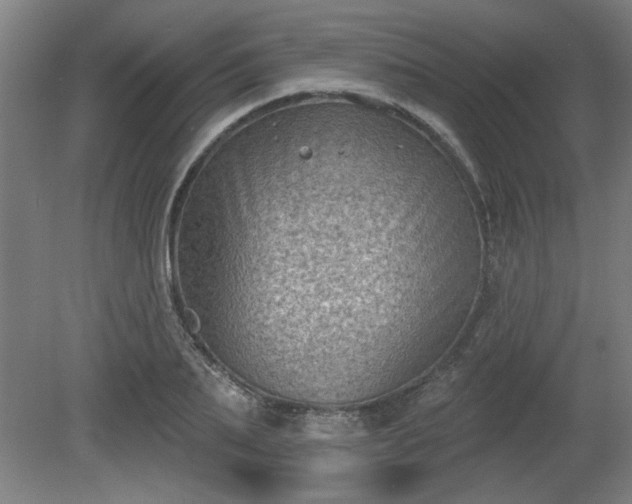 X0000080720887200612221224