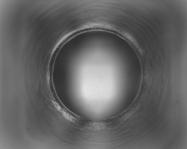 X0000080720888200612221224