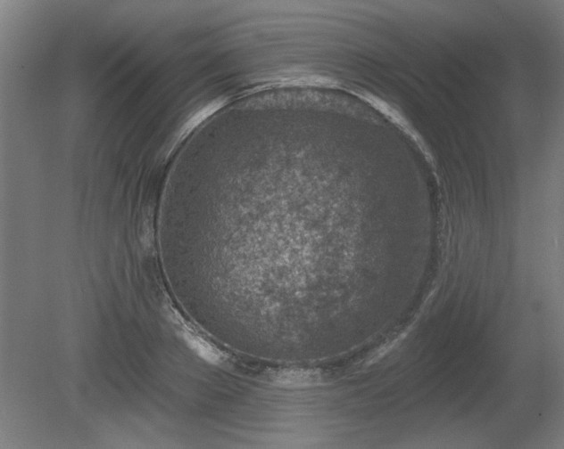 X0000080720889200612221224