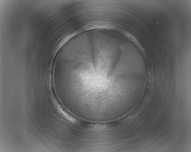 X0000080720890200612221224