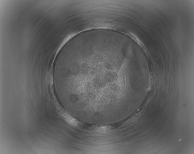 X0000080720891200612221224