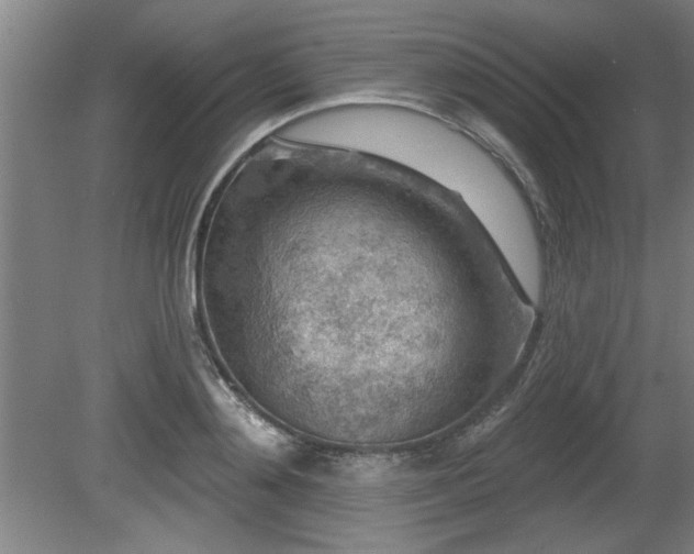 X0000080720892200612221224