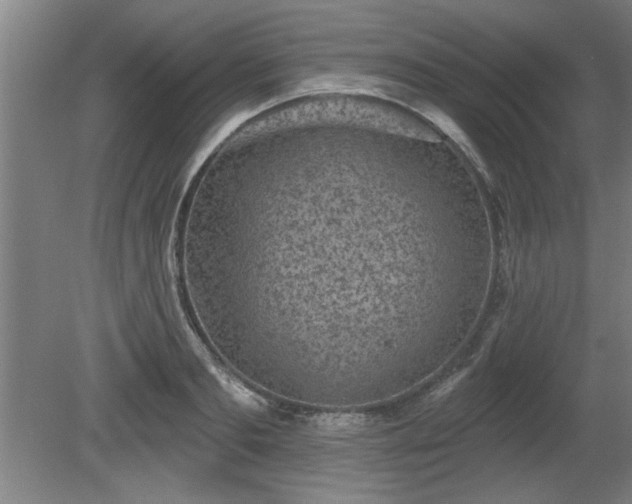 X0000080720893200612221224