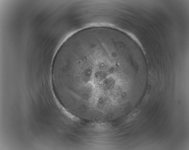 X0000080720895200612221224