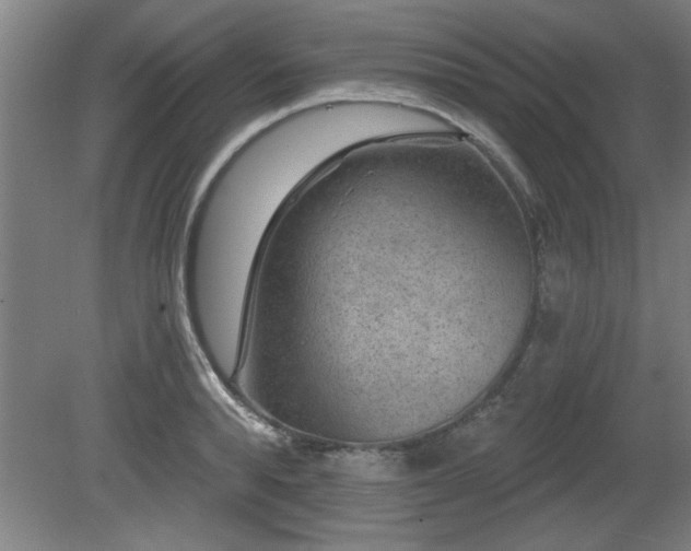 X0000080720896200612221224