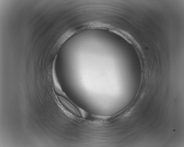 X0000080720897200612221224