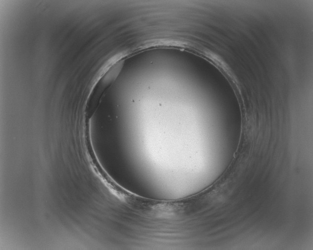 X0000080720898200612221224