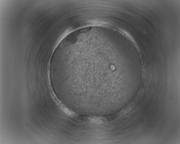 X0000080720899200612221224