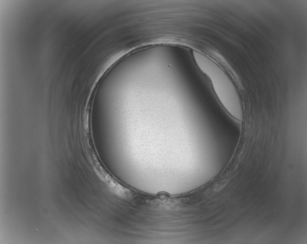 X0000080720900200612221224