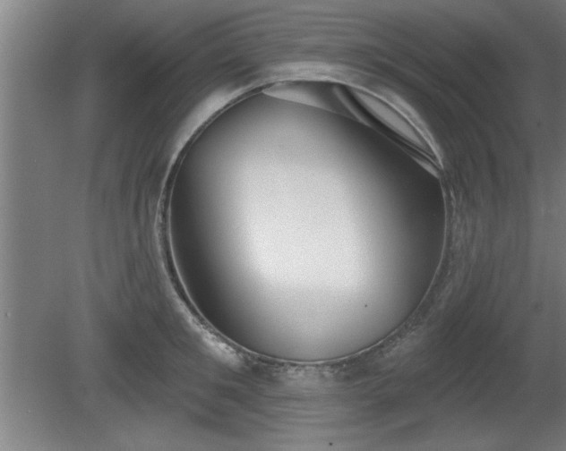 X0000080720901200612221224