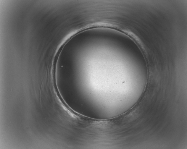 X0000080720902200612221224