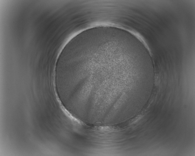 X0000080720903200612221224