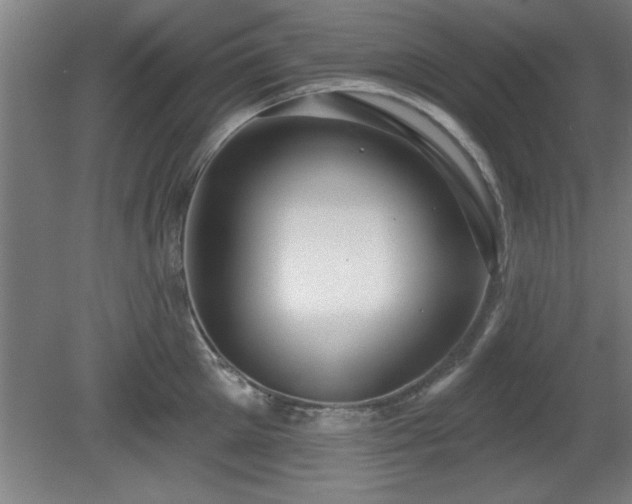 X0000080720905200612221224