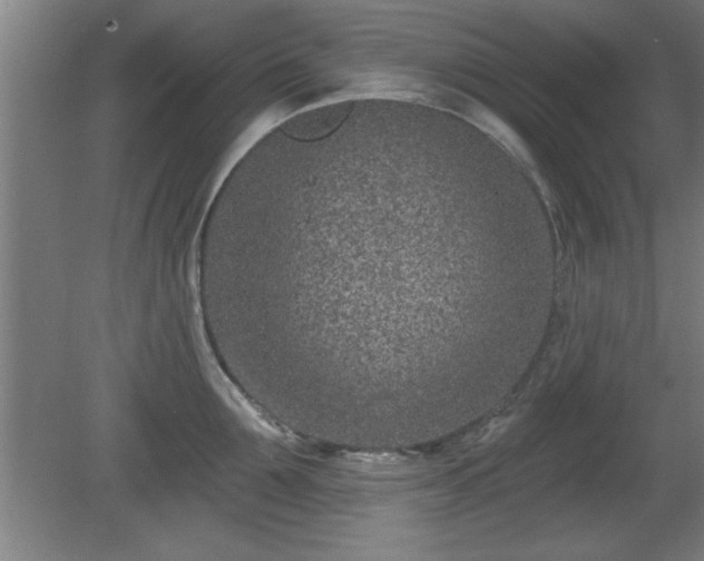 X0000080720907200612221224