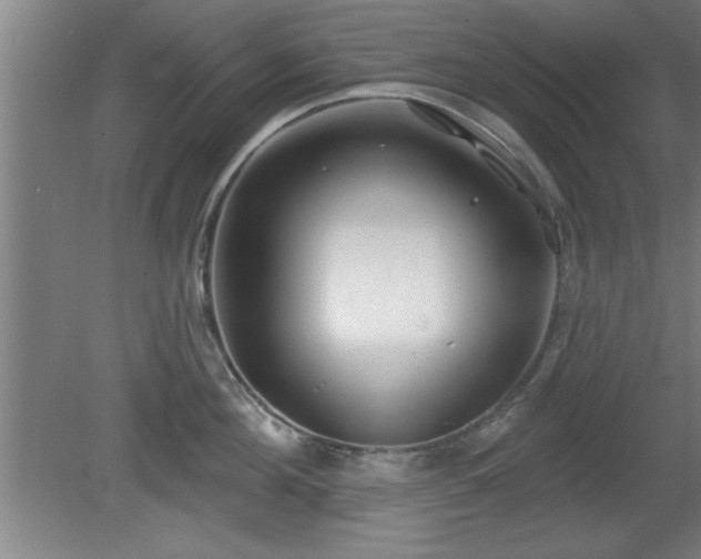 X0000080720908200612221224