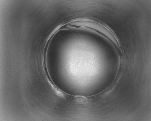 X0000080720909200612221224