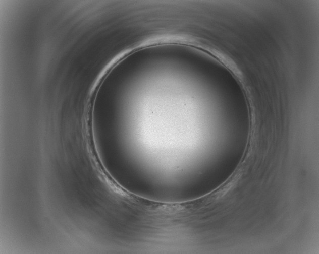 X0000080720912200612221224