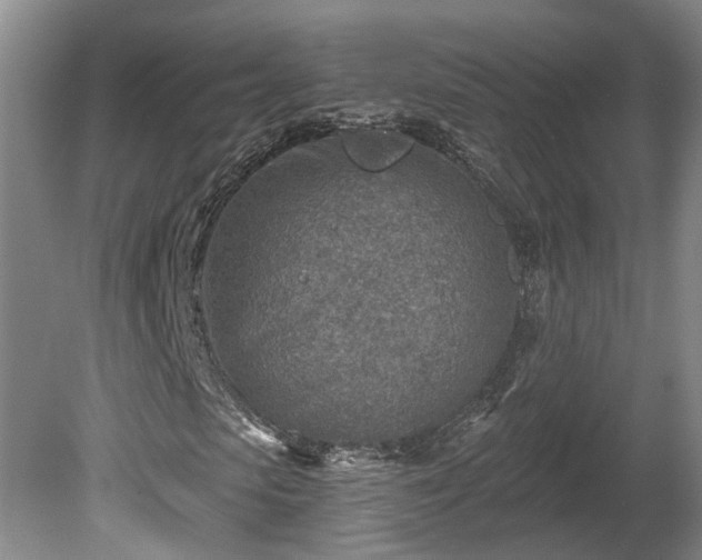 X0000080720913200612221223