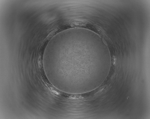 X0000080720915200612221223