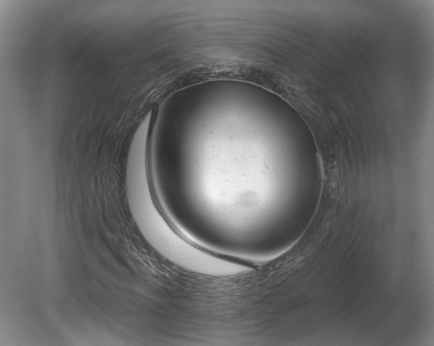 X0000080720916200612221223