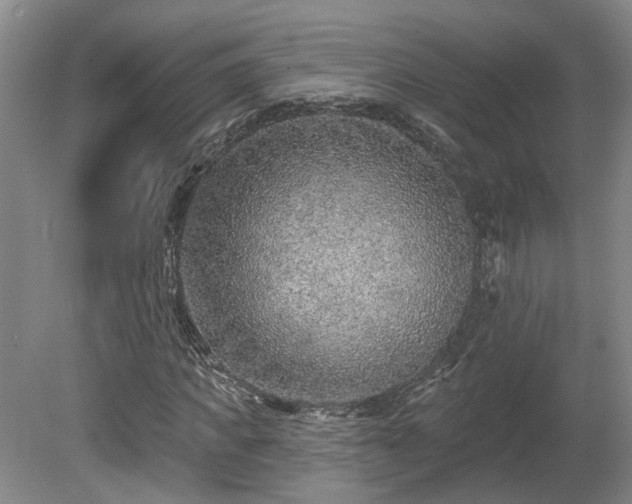 X0000080720917200612221223