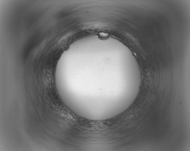 X0000080720918200612221223