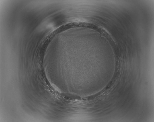 X0000080720919200612221223