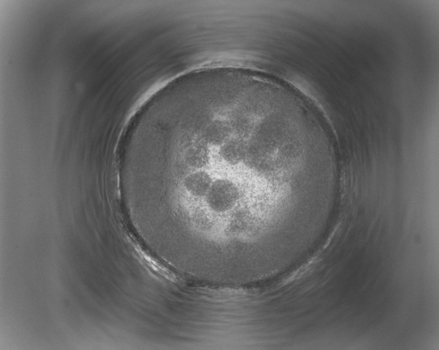 X0000080720925200612221223