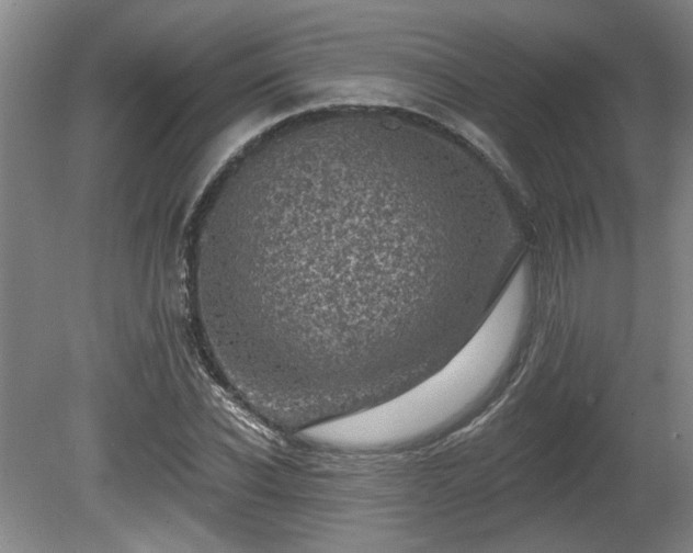 X0000080720926200612221223