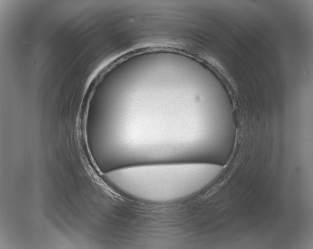 X0000080720928200612221223